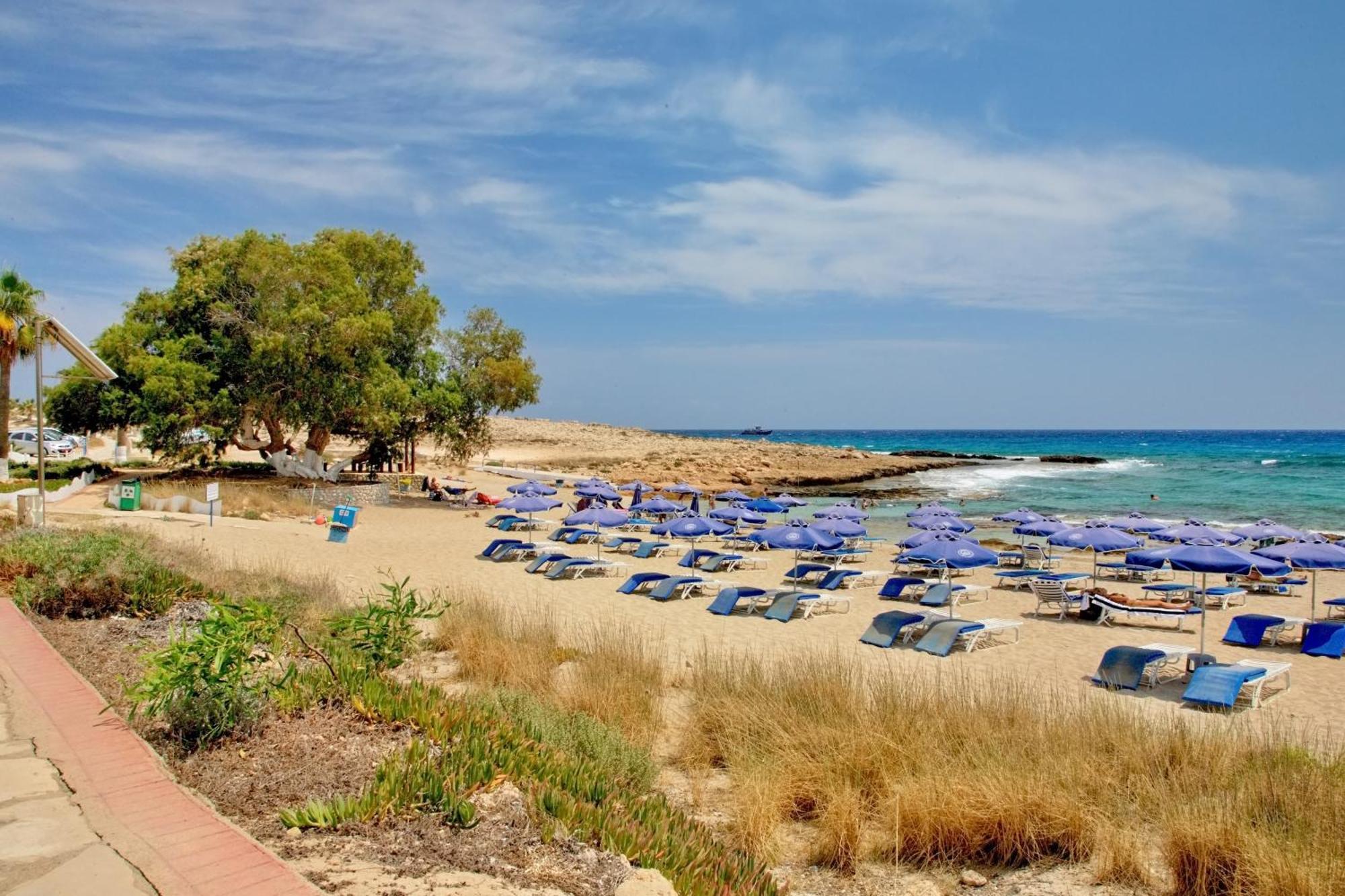 Beachfront Luxury Idania איה נאפה