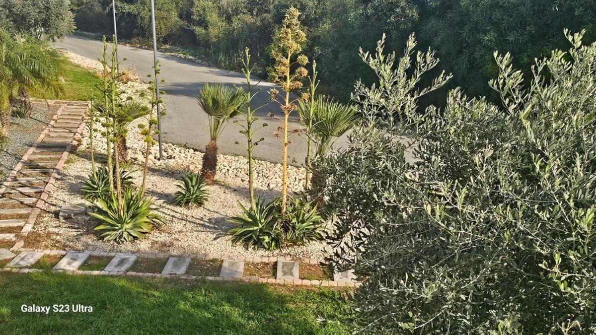 Beachfront Luxury Idania וילה איה נאפה